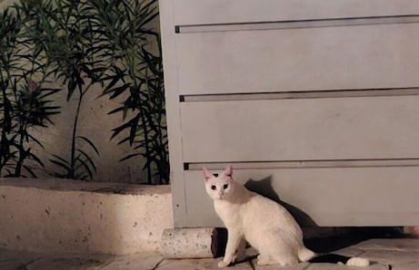 AIR IN ROOMS - Foto 14