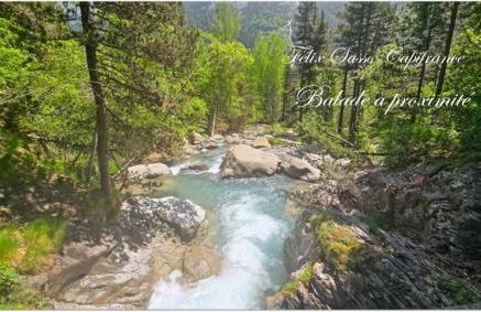 Au gré du Gave de Pau RDC - Foto 11