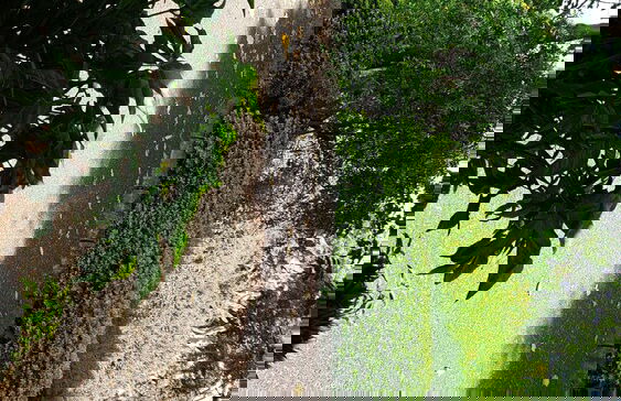 Captivating 3-bed House in Moshi Town - Foto 10