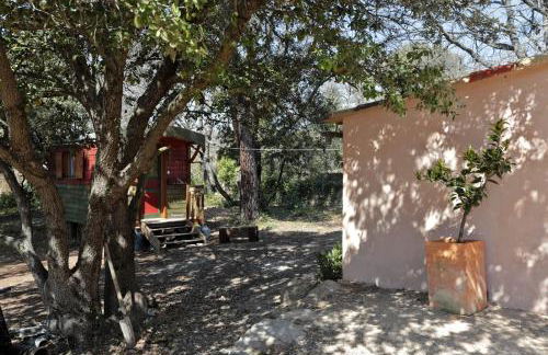 LUBERON DES ARTISTES 2 - Photo 21