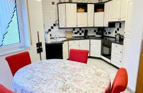 MBZ Monteurwohnung Altforweiler 4 ZKB - Foto 1