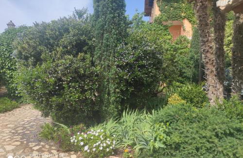 Finca La Calancha - Foto 38