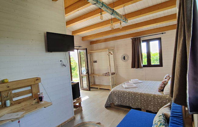 AgriBarocco - Photo 23