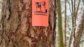 Ferienwohnung am Felswanderweg - Foto 5