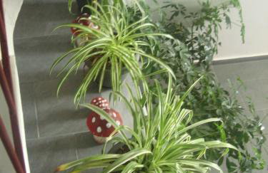 Dream House Ioannina, Near university and hospital,Parking and fast WiFi - Photo 16