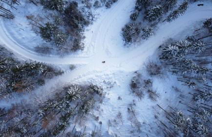 Beim Mühltaler - Photo 40