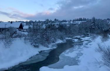 Chalet Alpenflair - Foto 35