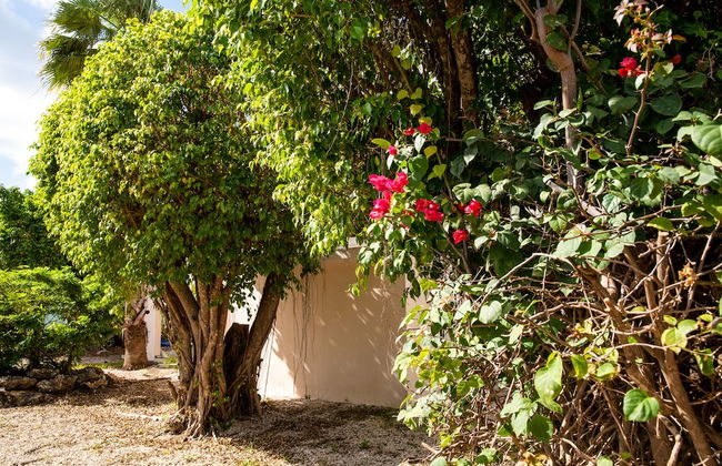 Hamlet Oasis Resort - Photo 35