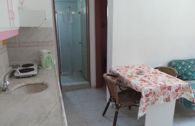 Family Apart - Photo 5