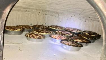 Agriturismo La fortezza - Foto 4