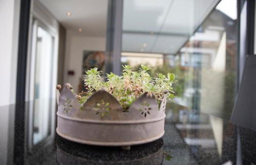 NEU - MoselAUSZEIT Traben - Foto 50