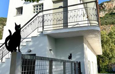 Grandpa's House - Foto 9