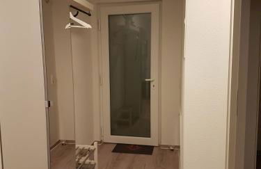 Sonnenstrahl im Küstenwald - Foto 13