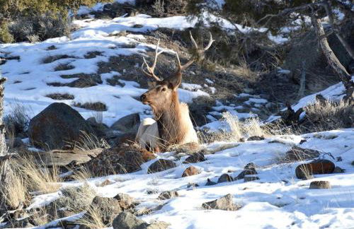 Picturesque Cottage for a Riverside Retreat near Big Sky, Montana - Foto 39