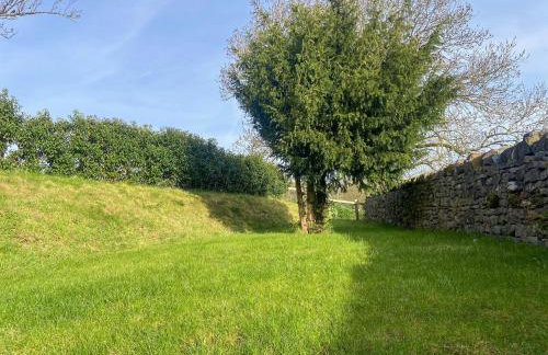 The Studio - Foto 10