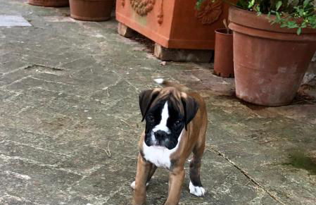 Agriturismo Sole - Foto 70