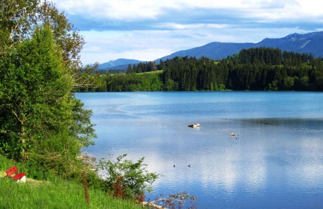 Sandra Comfortable Holiday Residence - Foto 20