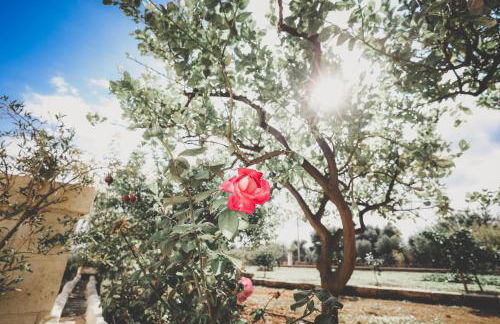 Residenza "I Tre Carrubi " - Foto 55