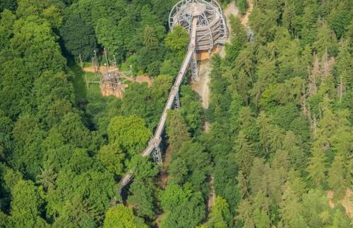 Waldloft - Okertal Goslar Harz - Photo 19