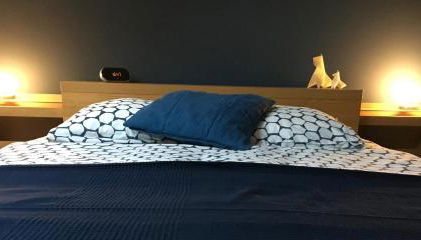 Les Jardins de l'Ile - Foto 4