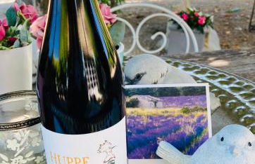 Le Nid de la Huppe - Foto 29