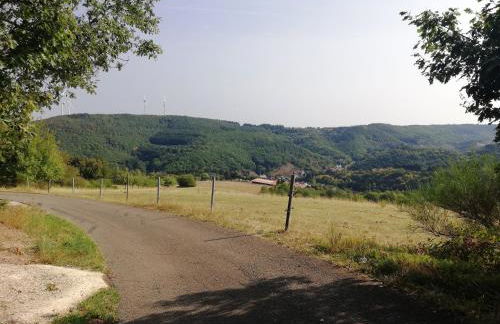 Ferienwohnungen Meindl - Foto 33