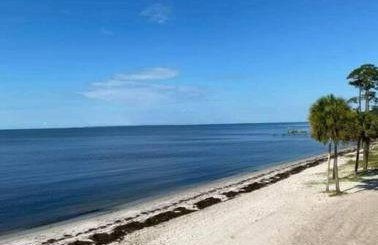 Lagniappe - a little something extra on the Gulf - Foto 34