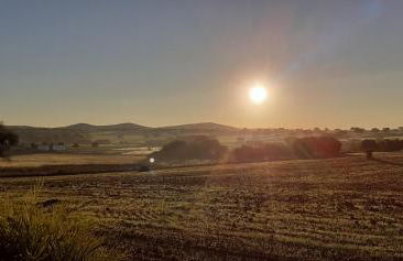 Casa das Rosas - Foto 39