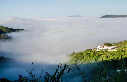 Cortijo J&S Juan Salvador - Photo 29