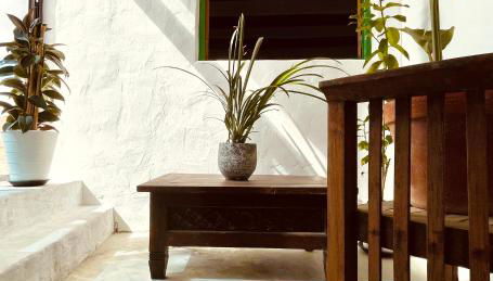 Finca Rivari - Photo 2