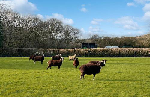 The Dairy Waterrow - Foto 30