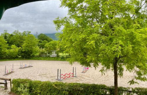 Agriturismo al Ranch - Foto 14