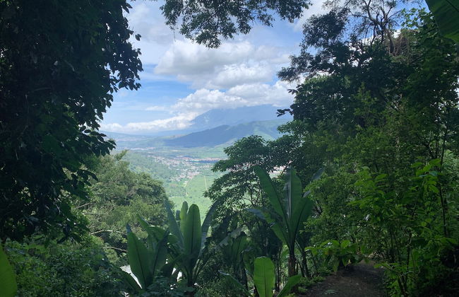 Finca El Tambor - Foto 56