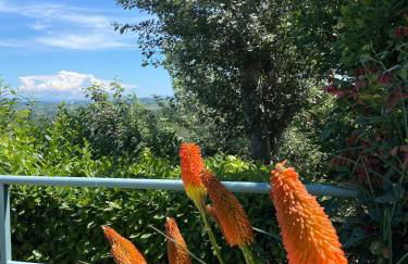 Villa Monferrina - Pool - Unesco Heritage - Photo 76