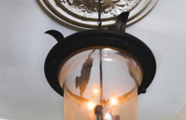 Downtown Memphis Shellcrest Apartments - Foto 45