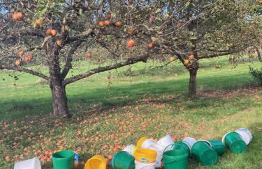 Ferienwohnung Antonie - Foto 12