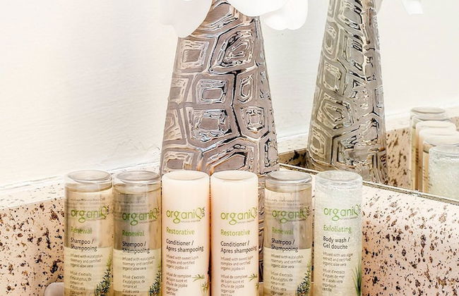 Spacious Furnished Apartment Sleeps 4, 2 Tvs, Walkout Balcony, Parking Available - Foto 8