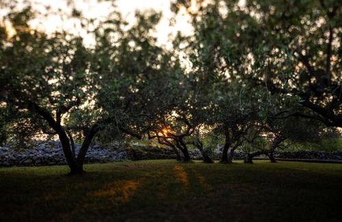 Mai's Villa - Foto 34