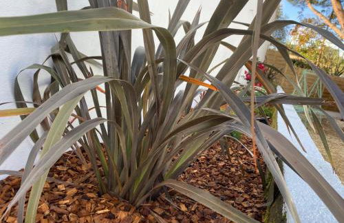 Calme et Tranquillité - Foto 16