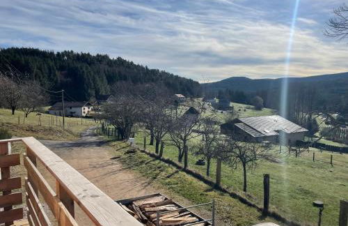 Refuge au coeur des Vosges - Foto 22
