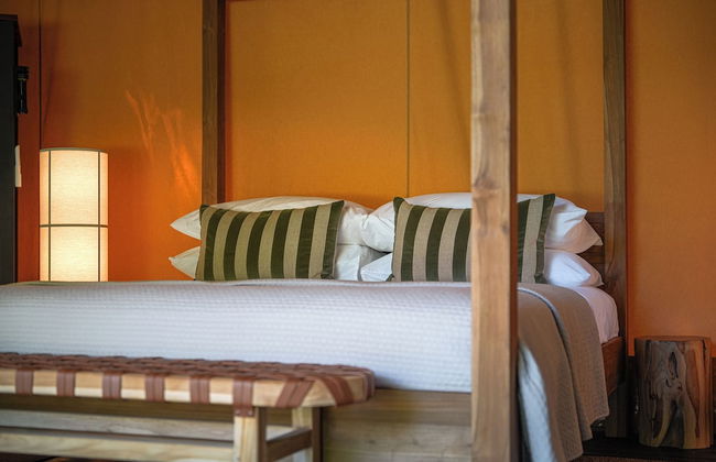 Daintree Beach Resort - Foto 7