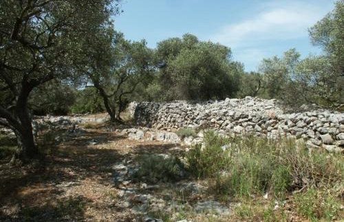 Secluded fisherman's cottage Krknata, Dugi otok - 888 - Foto 11