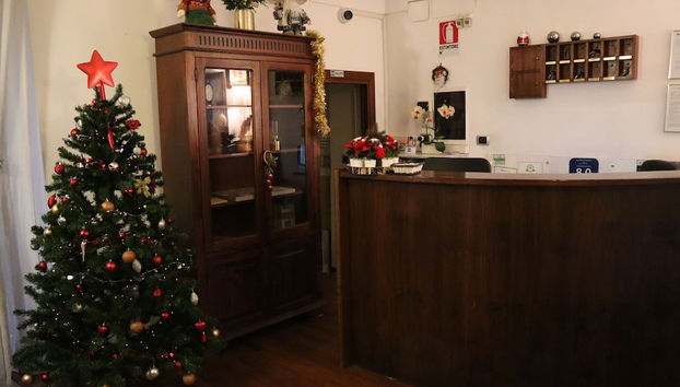 Residenza Domizia- Guest House - Foto 4, Reception