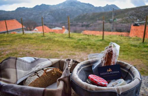 Casa Florestal, na Branda da Bouça dos Homens - Foto 15