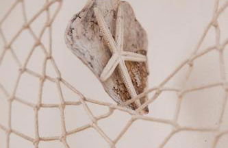 Herdade d' Amoreira Lavanda Villa - Foto 65