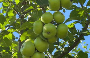 A Casa di Ale - Foto 34