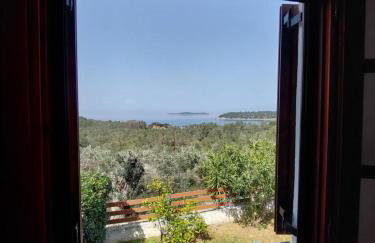 Vakantiehuisje Eione op het eiland Paleo Trikeri - Photo 31