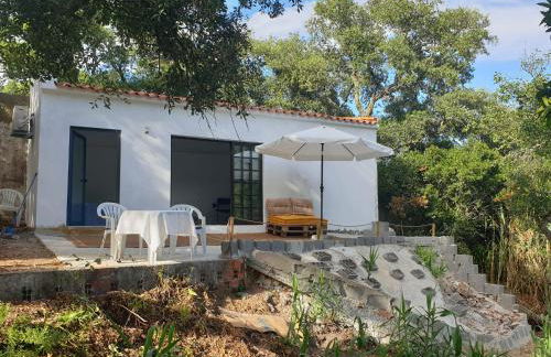 Quinta de São Pedro - Photo 7