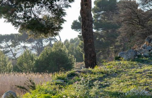 Villa des Cathares - Foto 55