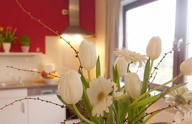 Ferienwohnungen Ostseeblick - Foto 23